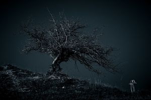 LL_Dark_Tree