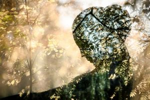 LL_Lady_Forest_multiexpo