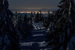 LL_Mountain_and_City