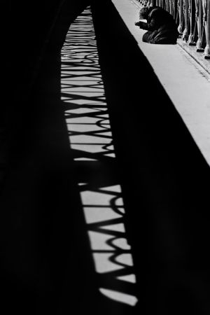 IMG_4672