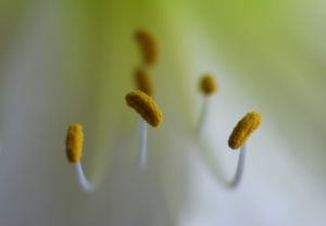 Titkok