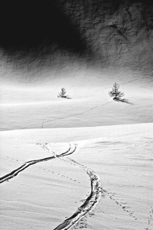 Traces