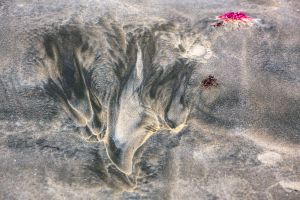 Hullámok festménye az óceánparton
Painting of waves on theocan shore