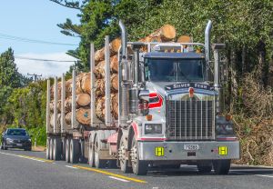 Ezüst Páfrány, a rönkszállító
Silver Fern, the log carrier truck