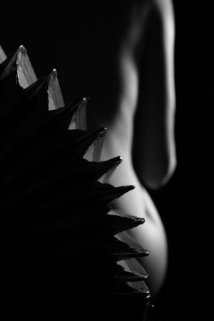 MUSICAL BODYSCAPE