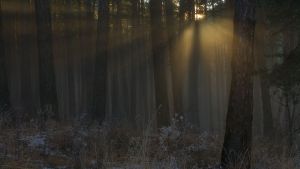 Utolsó sugarak