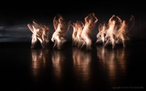 Dreamdance study 956