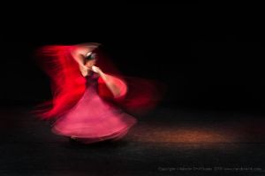 Flamenco Elan study 11
