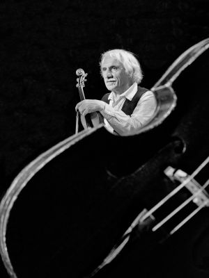 A pihenő Muzsikás (The resting Musician)