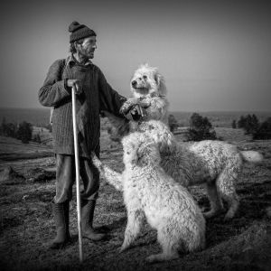 03_Langh_Gabor__Pasztor_es_tarsai