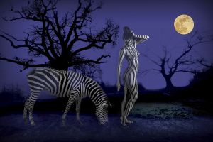 09_Langh_Gabor_Zebrak