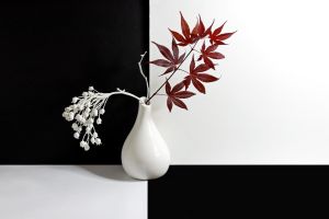 Floret geometria
