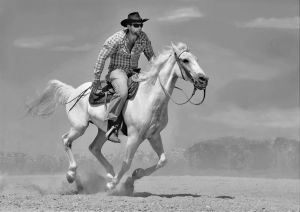 Western I.
