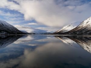 tűkörkép-Reflection