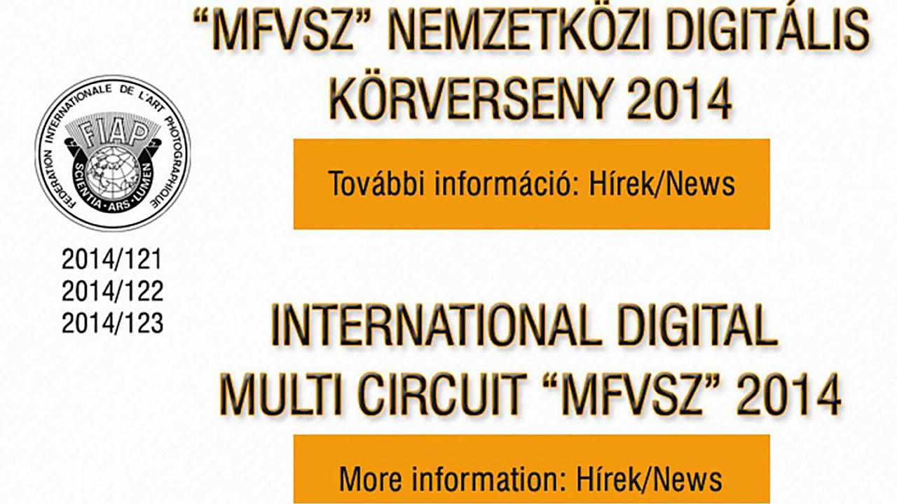 International Digital Circuit 2014